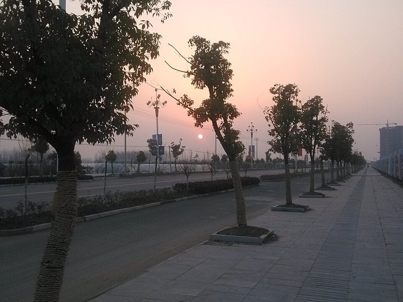焦岗湖
